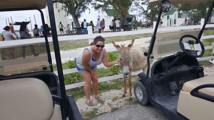 Me taking some selfie with donkeys in Grand Turk.