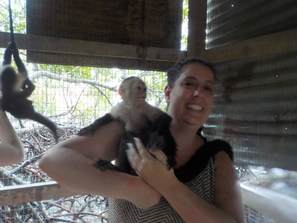 Sloths and Monkeys: The Best Mahogony Bay Excursion 13 Hold sloths and monkeys Roatan