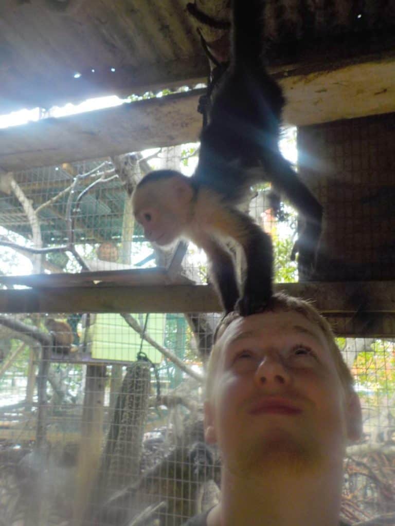 Hold a monkey, Roatan