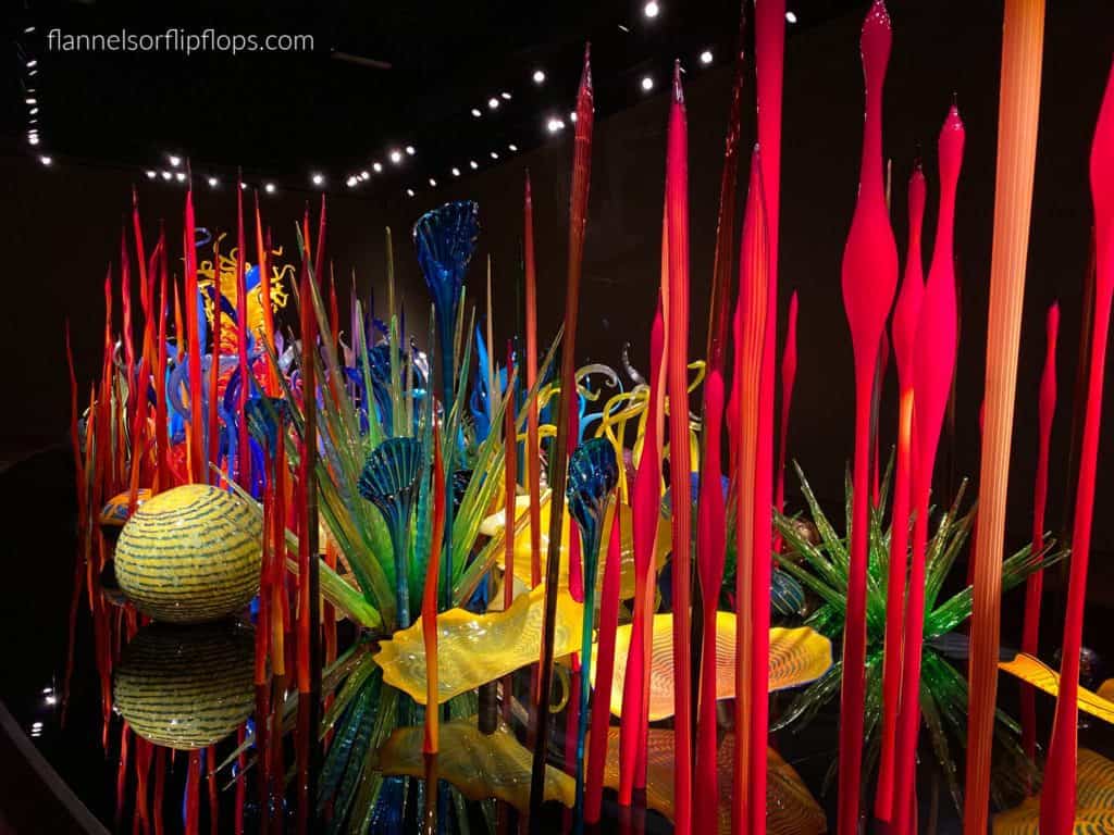 Chihuly Display
