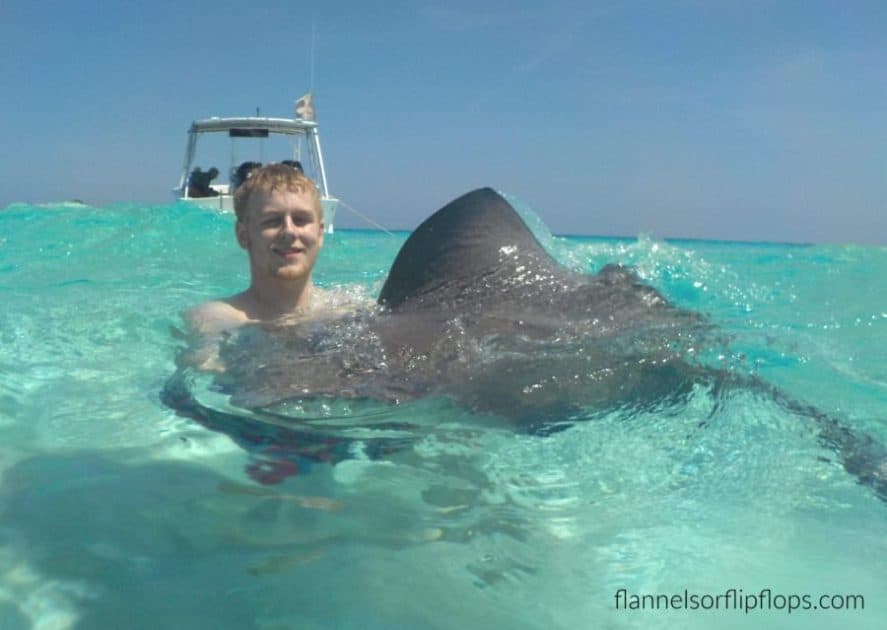 Sting Ray City