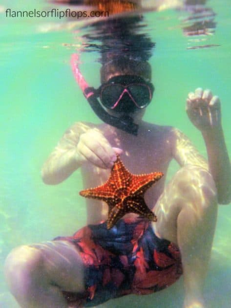 Snorkel and Starfish Grand Cayman-2