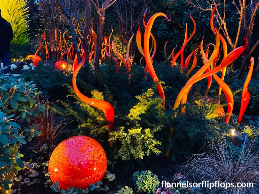 Chihuly Garden at night