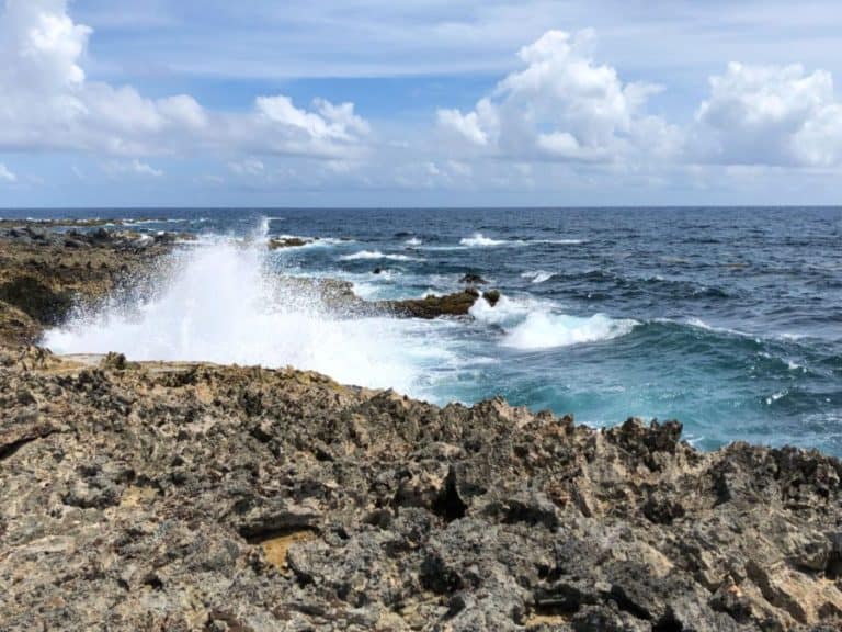 Aruba in One Day: Aruba UTV Tour Review (Aruba ATV Review)