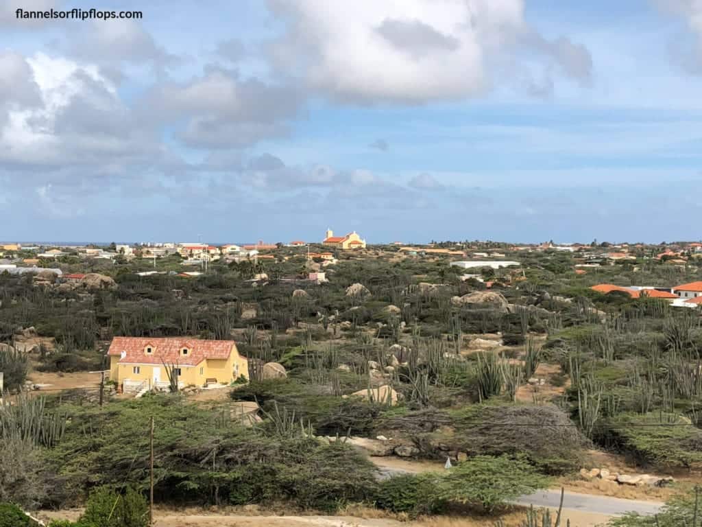 Aruba in One Day: Aruba UTV Tour Review (Aruba ATV Review) 4 An aerial view of Aruba, featuring lush trees and scattered houses amidst the island's natural beauty.