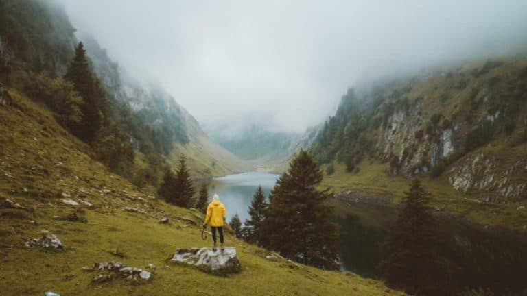 Finding peace