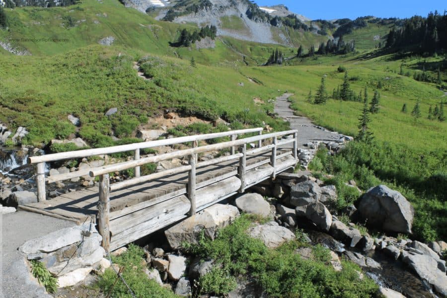 Best Things to do in Mount Rainier National Park 13 IMG 9194