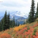 The Best Fall Hikes in the Pacific Northwest