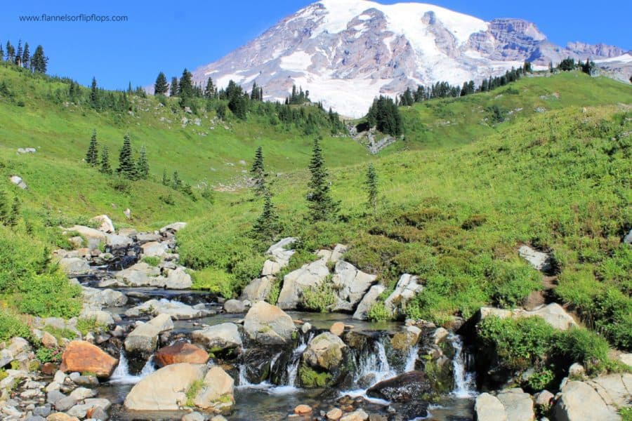 Best Things to do in Mount Rainier National Park 3 Myrtle Falls Mount Rainier