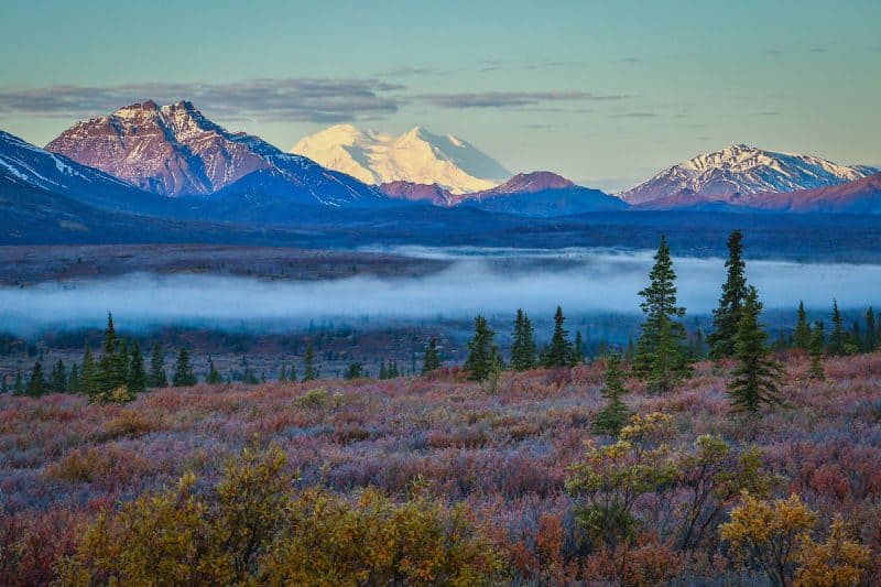 Denali National Park