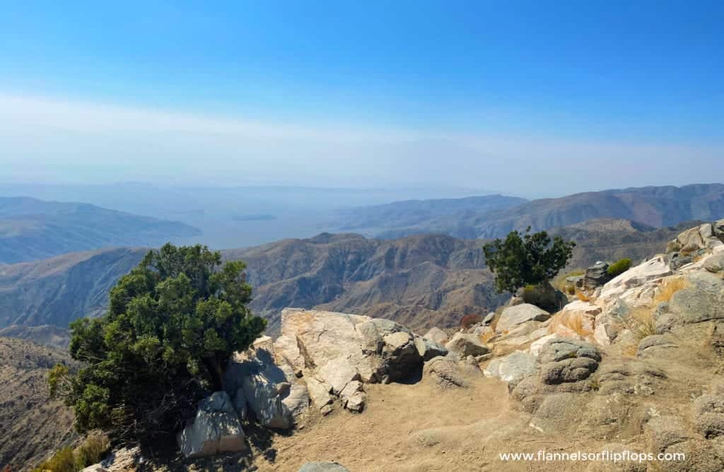 How To Explore Joshua Tree National Park In 2 Days