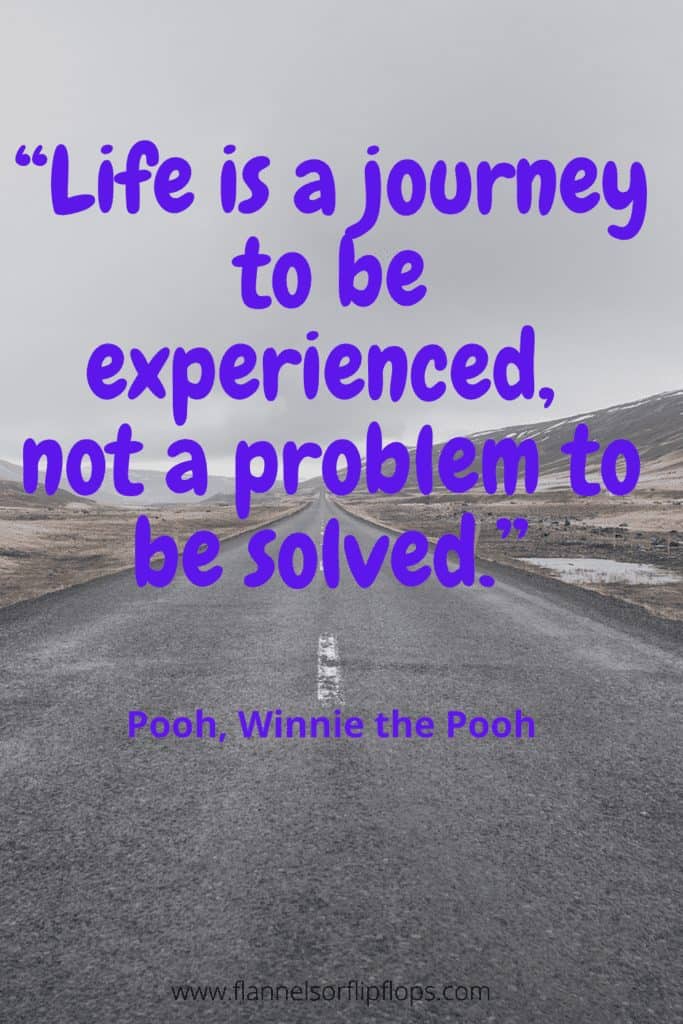 Life is a journey to be experienced not a problem to be solved. 1
