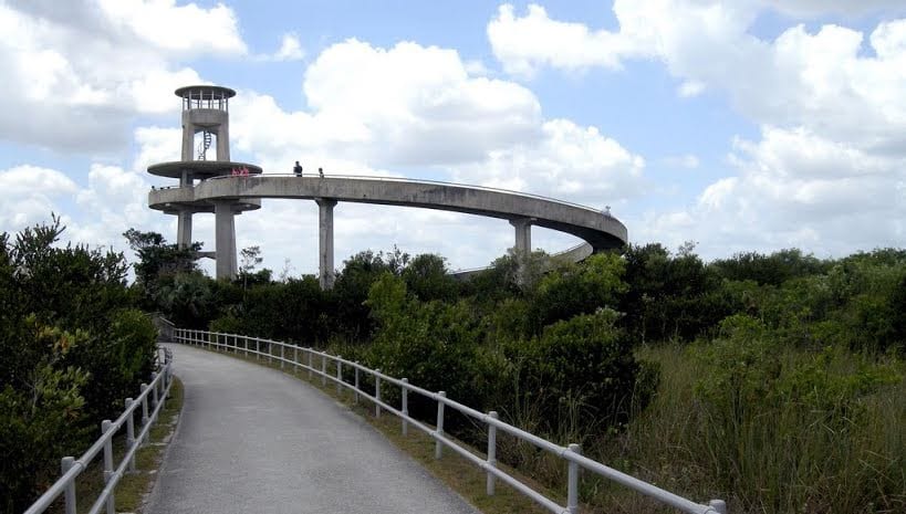 Shark_Valley_Observation_Tower