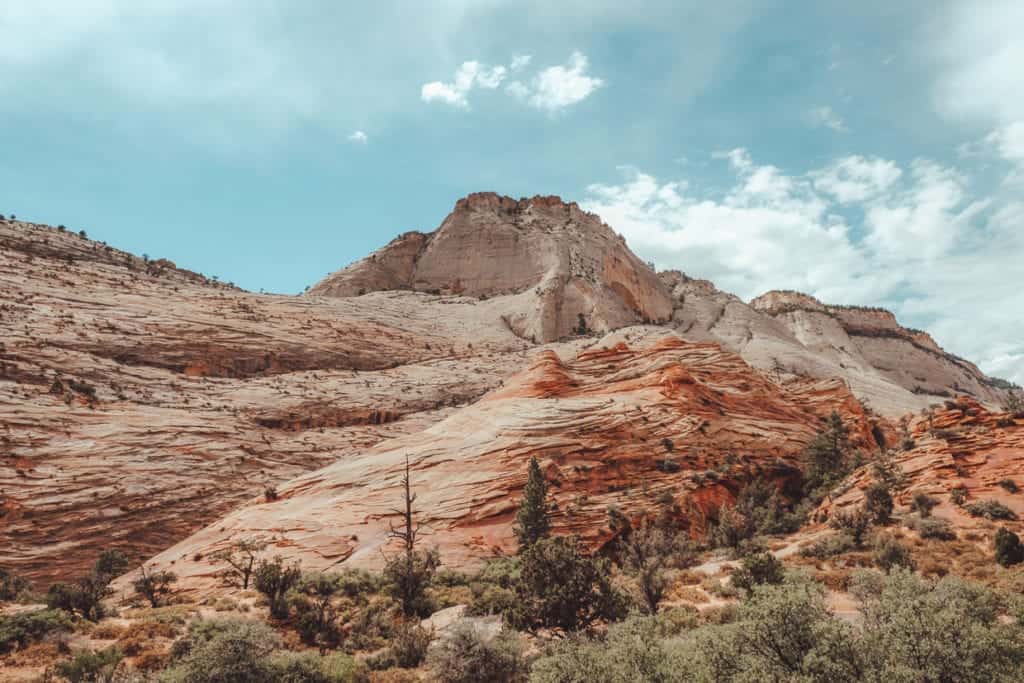20 Best National Parks to Drive Through 16 Mount Carmel Scenic HWY