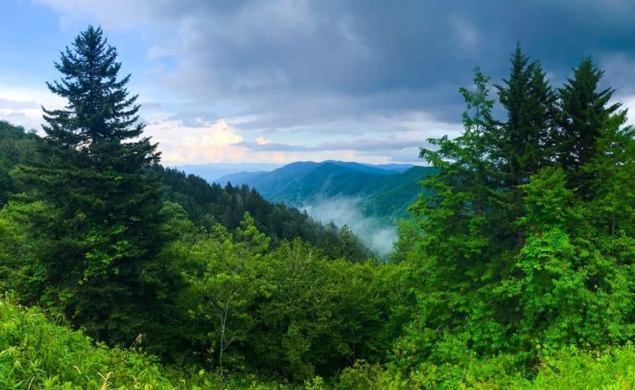 20 Best National Parks to Drive Through 22 Newfound gap road