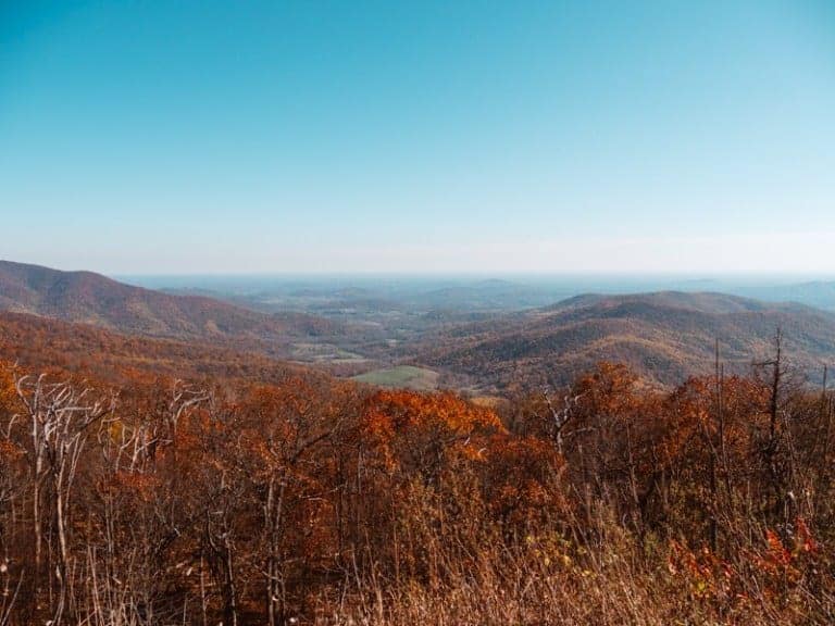 20 Best National Parks to Drive Through 18 Shenandoah National Park Scenic Drive