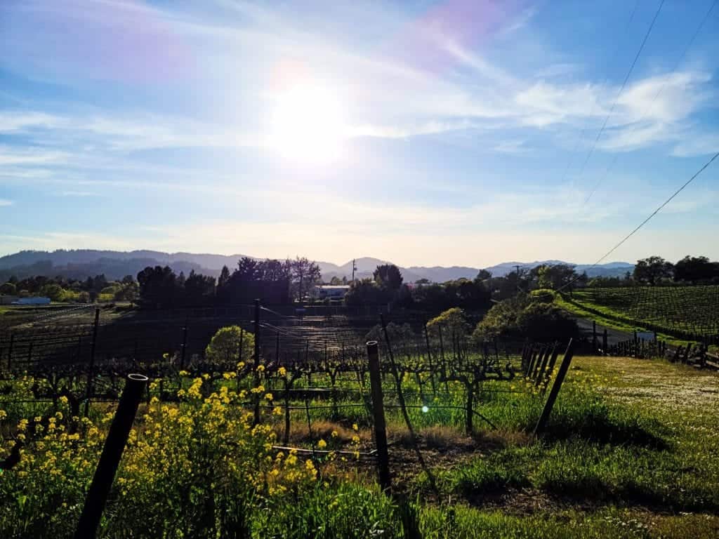 The Best Weekend Girls Getaways in the US 10 California Wine Country