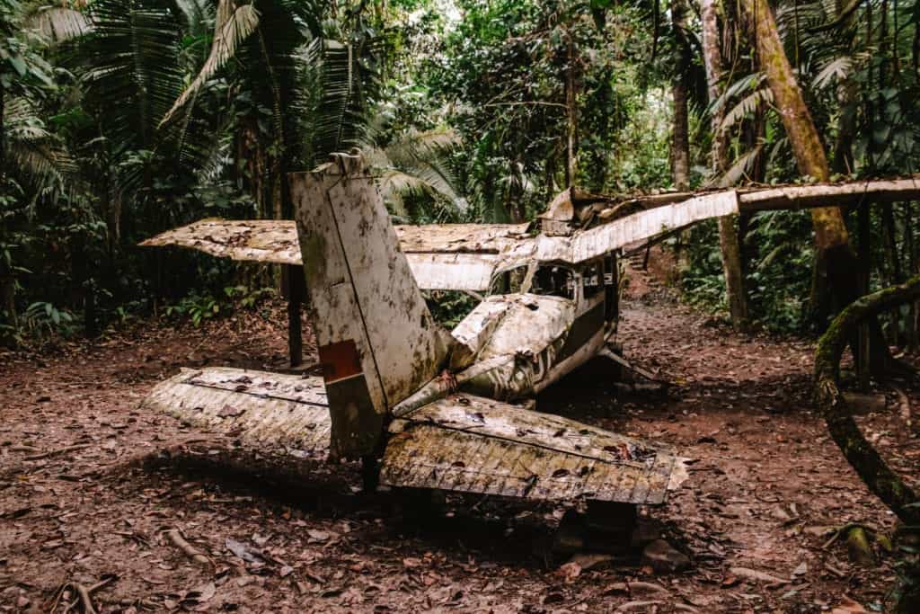 The wrecked jet lies in the middle of the dense forest, its mangled metal frame surrounded by towering trees and tangled vines. 