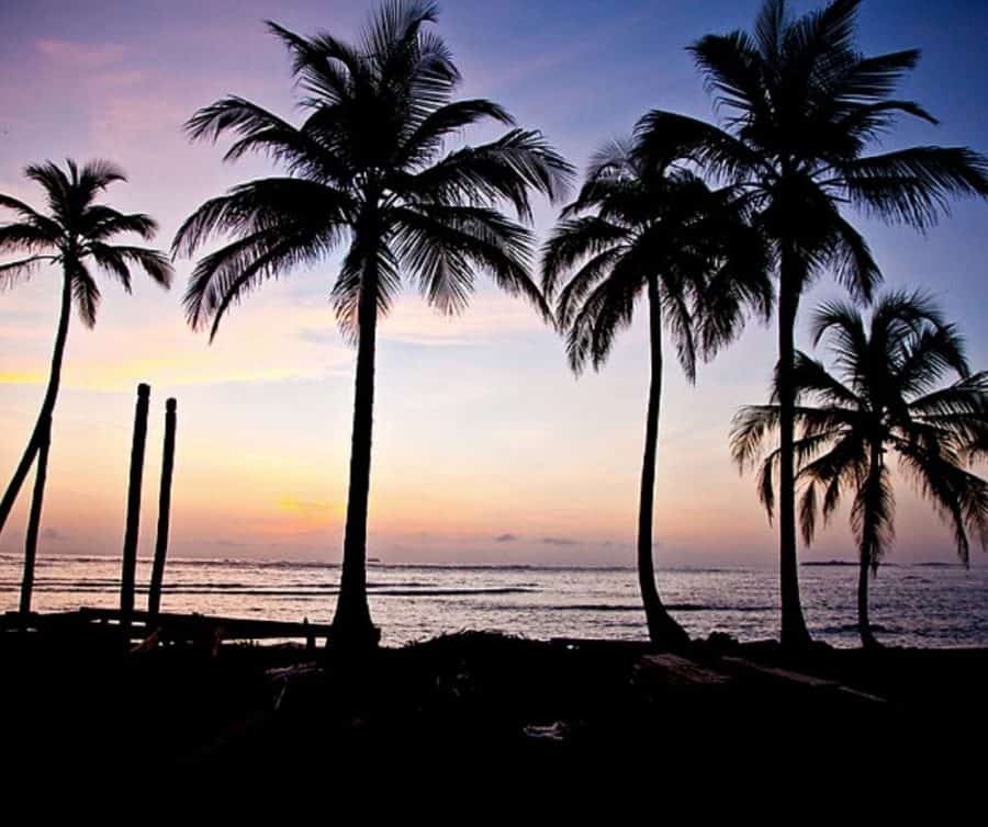 A stunning view of San Blas Island at sunset, with golden clouds and a calm ocean in the background.