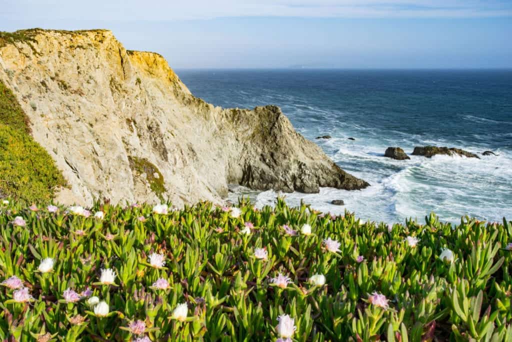 Hidden Gems in the US National Park System 9 National Park Hidden Gem- Point Reyes