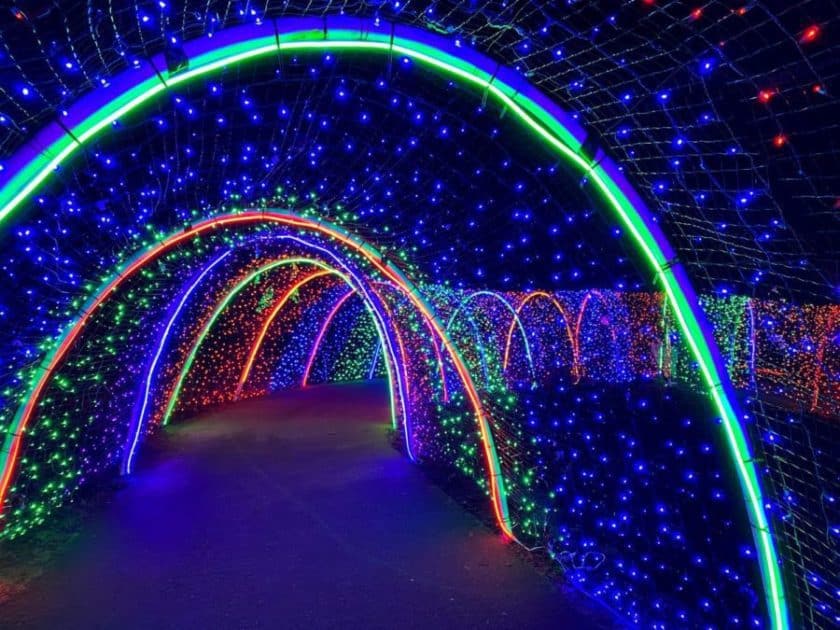 Zoo lights tunnel of lights