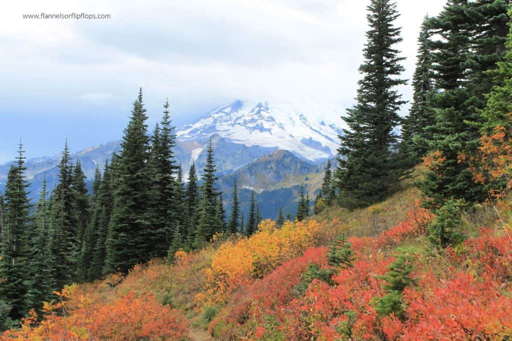 Best Things to do in Mount Rainier National Park 8 Mount Rainier fall colors