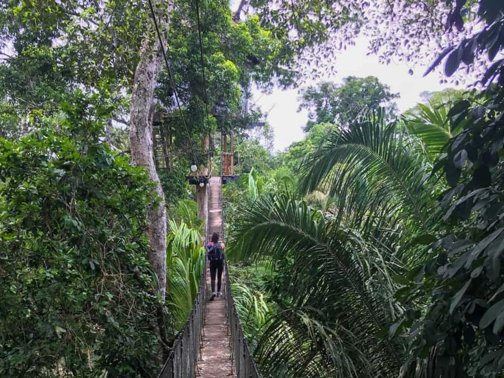 Eco-friendly hotels