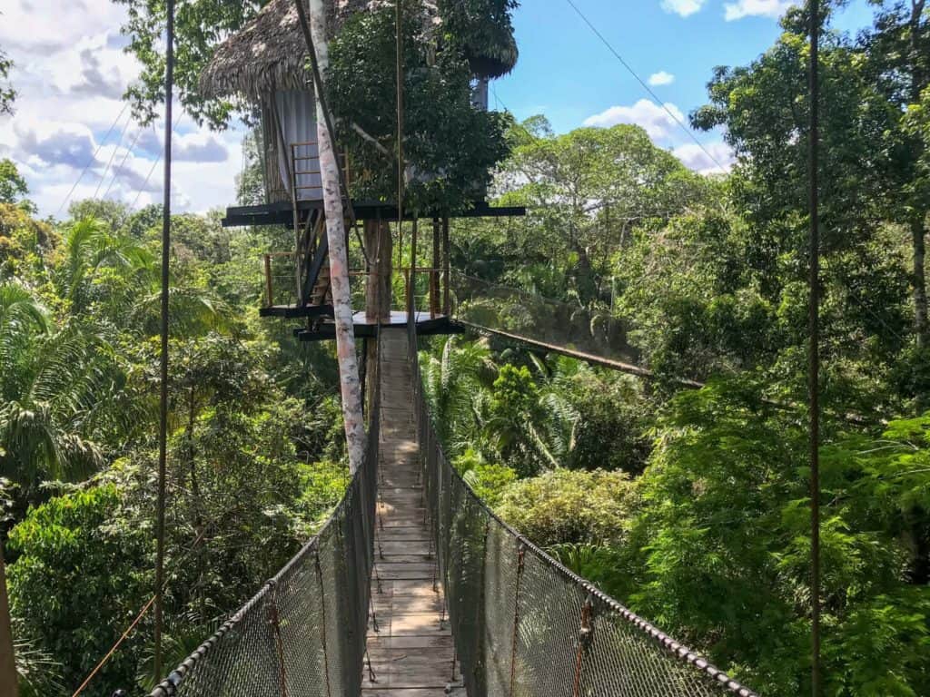 Tree House Lodge