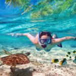 Maui’s Best-Kept Secrets for Turtle Watching Enthusiasts