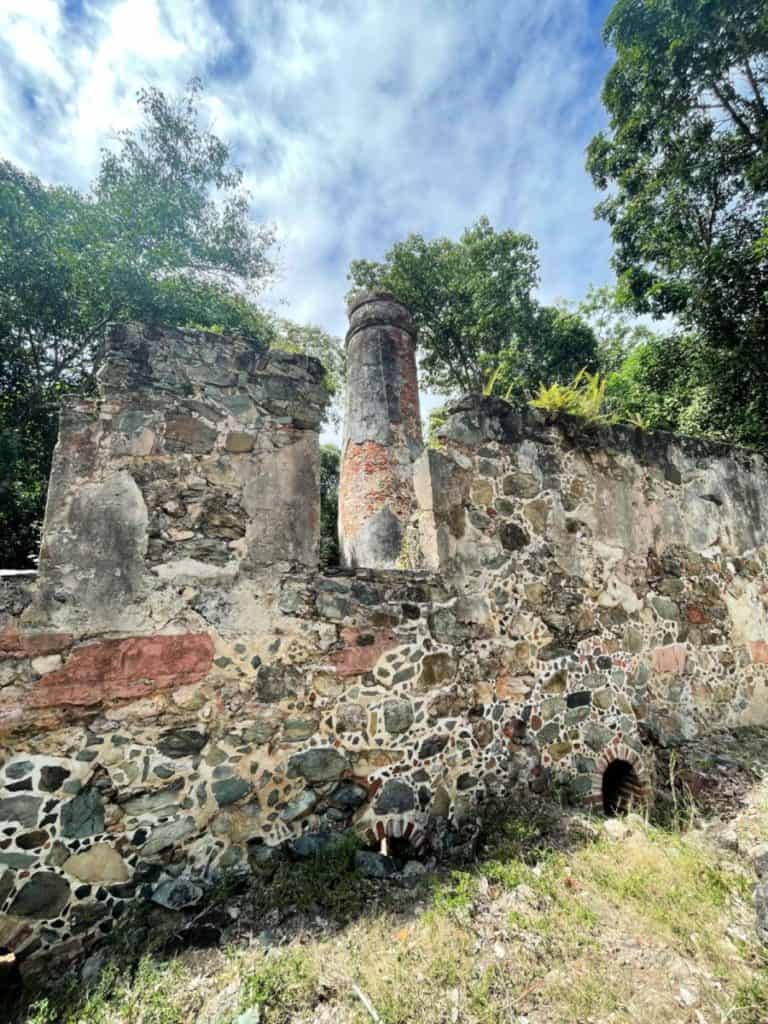 Virgin Islands National Park, displaying the stone ruins of the mill set amidst lush tropical vegetation, with the backdrop of a clear blue sky.
