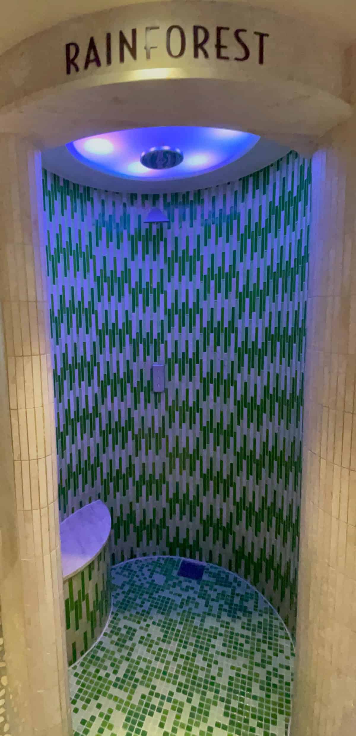 A Review Of The Rainforest Room On Disney Cruise Line 2024