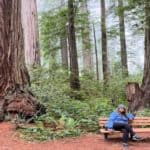 Woman sitting on a wooden bench in a grove of redwood trees