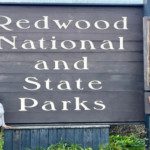 Redwood National Park Sign