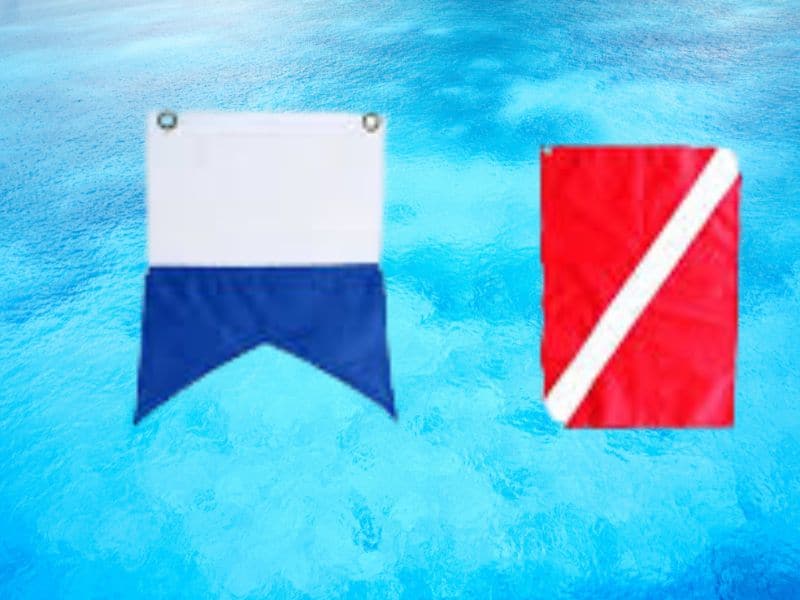 Pop Quiz: Do You Know What These Beach Flags Mean? 11 Diver down flags are blue and white or red and white