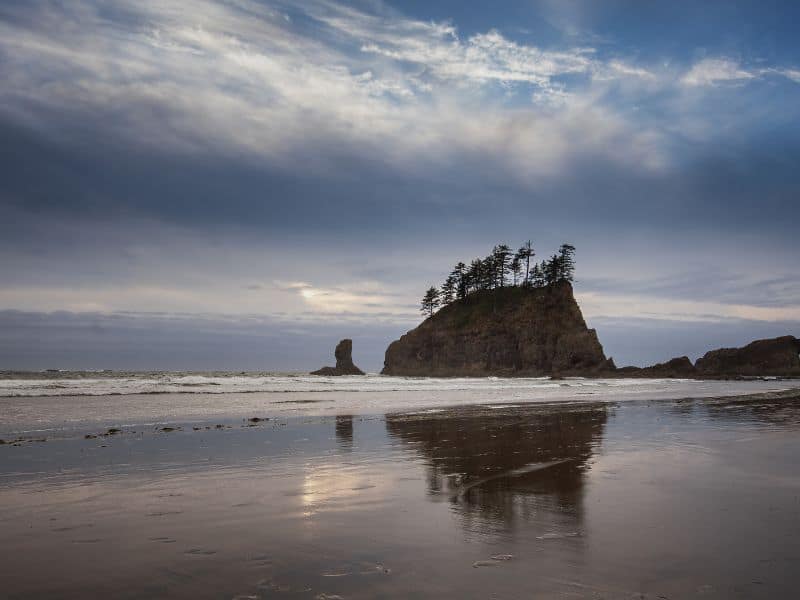 2nd beach Olympic national park