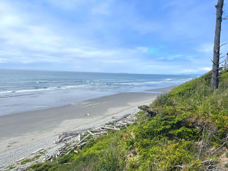Beach 1 Olympic National Park