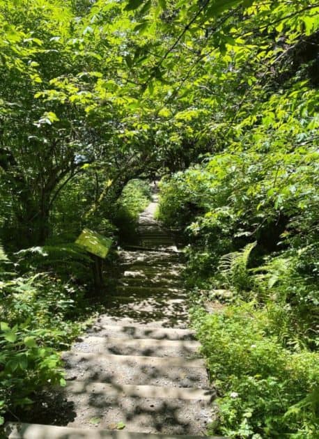 Trail to Beach 4 