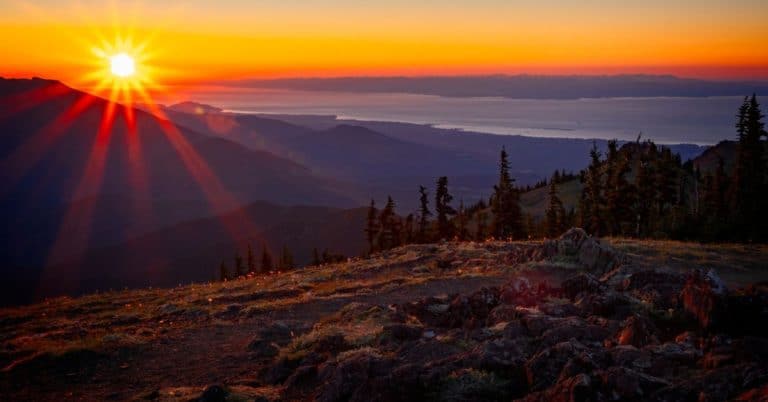 Best Hikes in Olympic National Park