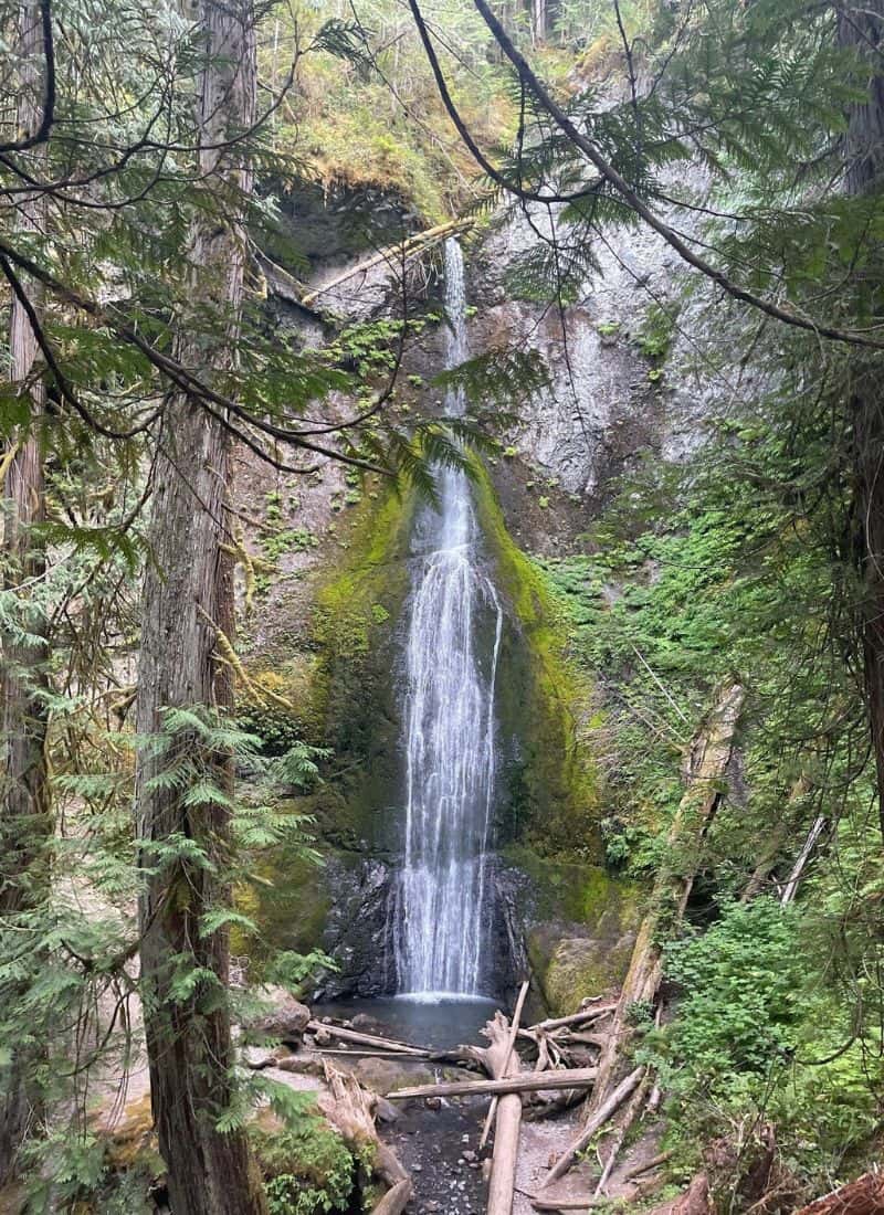 Marymere Falls Hike Olympic National Park