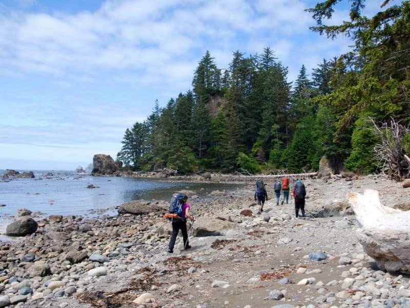 Ozette Triangle