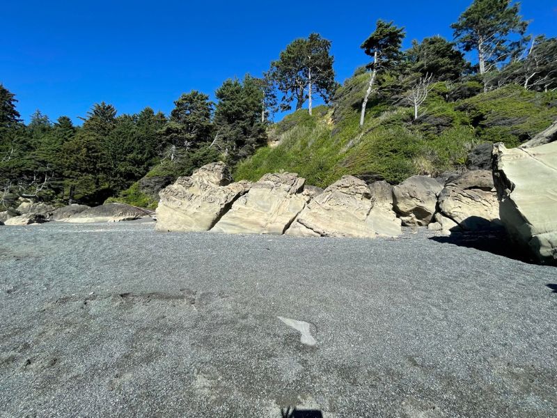 Beach 3 Olympic National Park