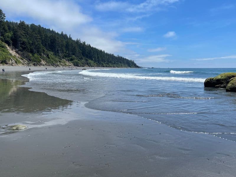 Olympic National Park Beach 4