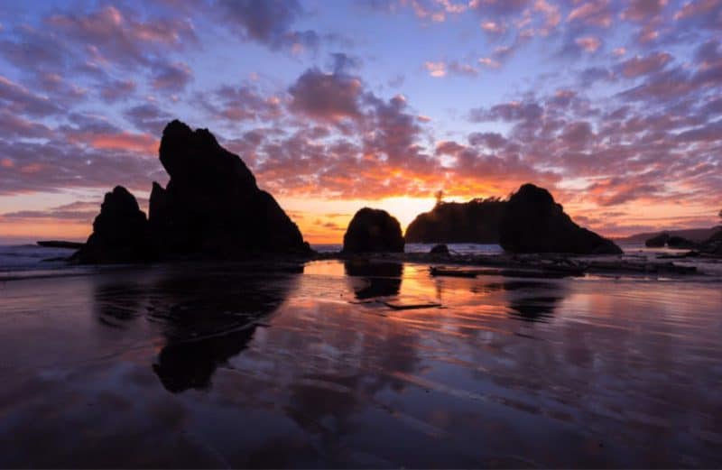 Beaches in Olympic National Park