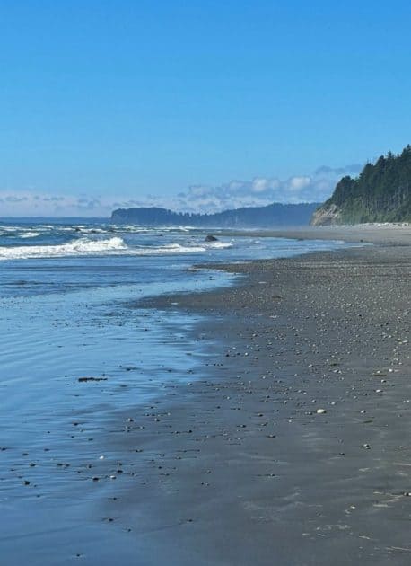 Beach 6 Olympic National Park