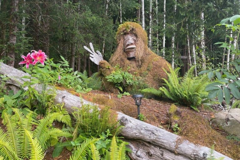 glamping near Olympic national Park