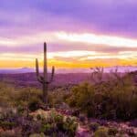 Camping around Saguaro National Park