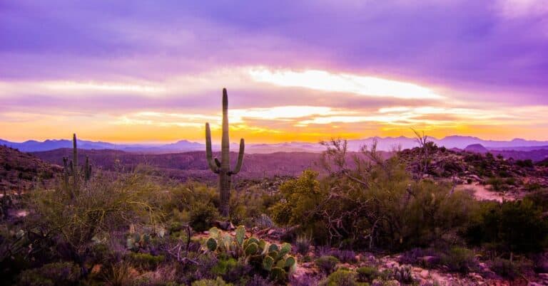 Camping around Saguaro National Park
