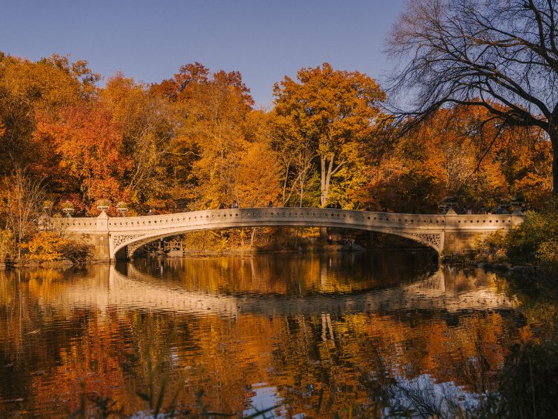 Central Park Facts