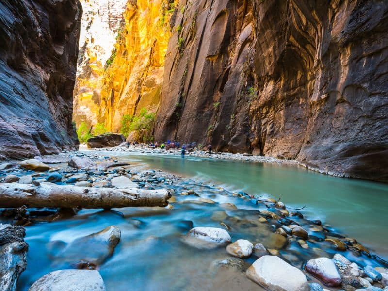 Things to do in Zion, the narrows 