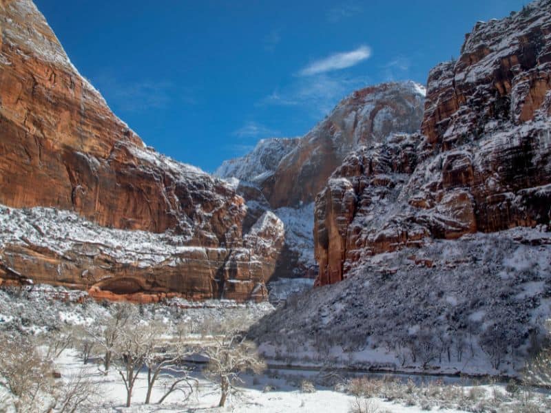 Zion National Park In Winter: A Spectacular Sight! 3 zion national park in december